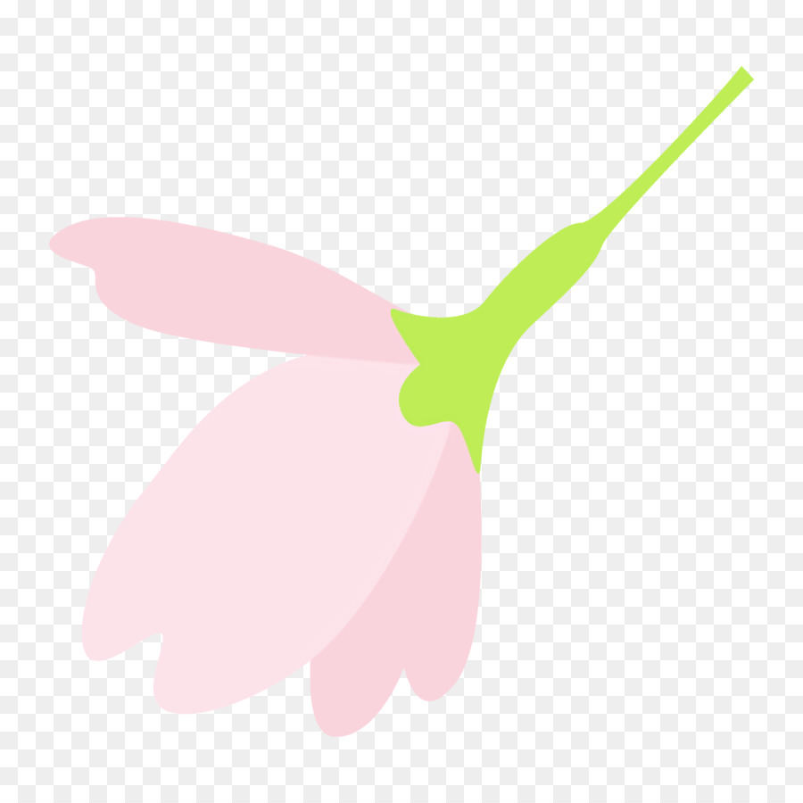 Silhueta De Flor Rosa，Florescer PNG