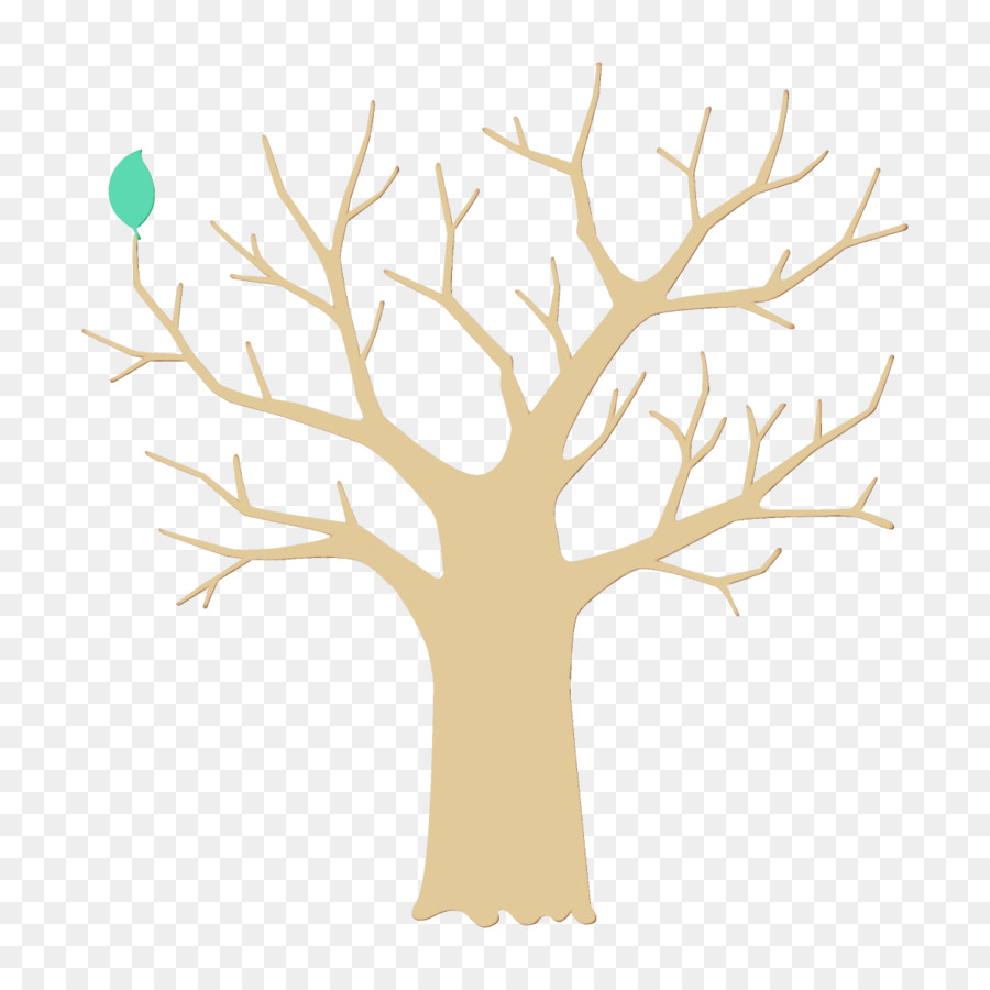 Filial，árvore PNG