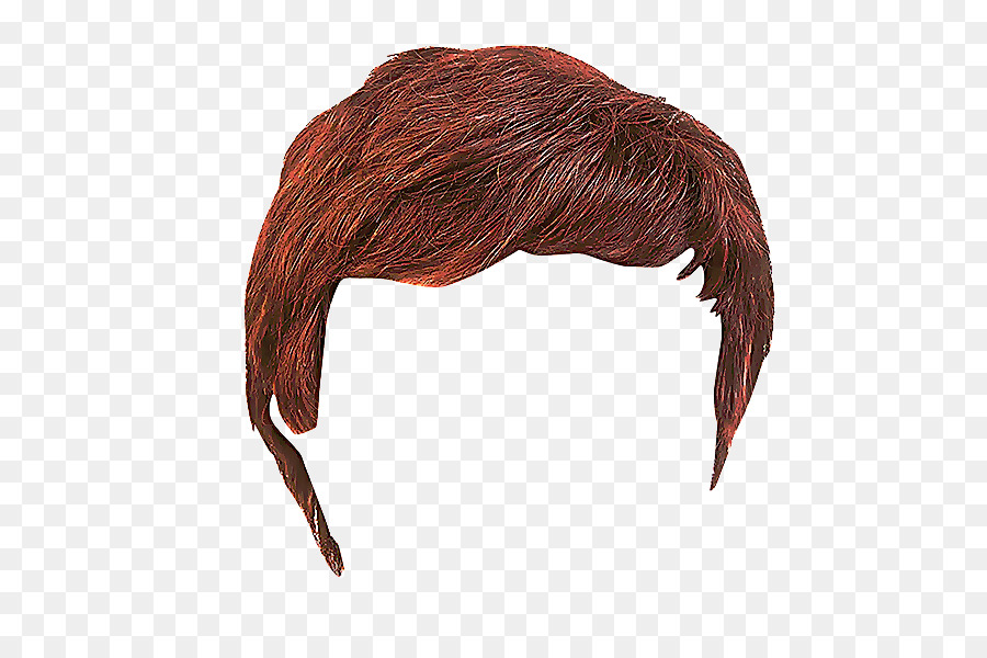 Cabelo，Peruca PNG