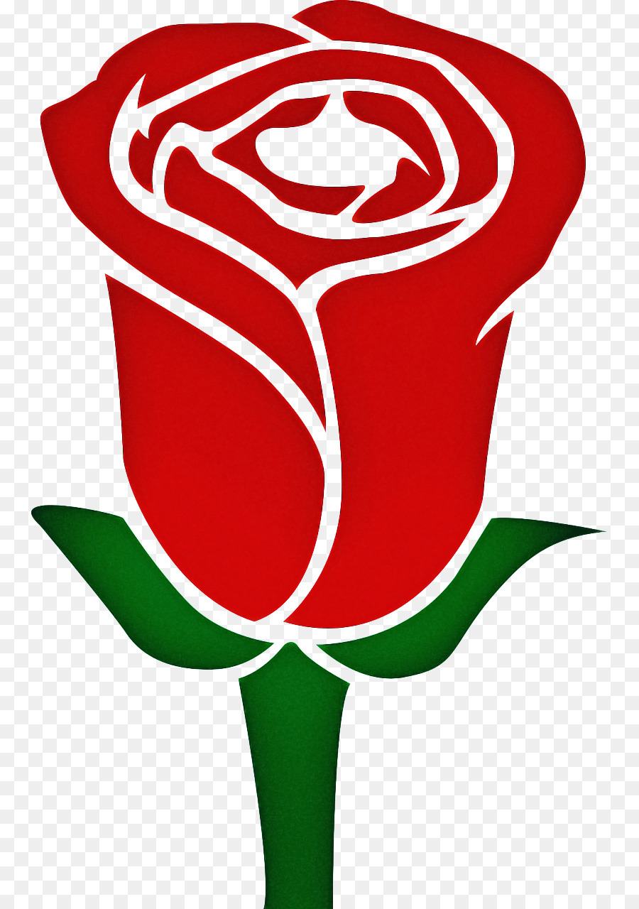 Rosa，Florescer PNG