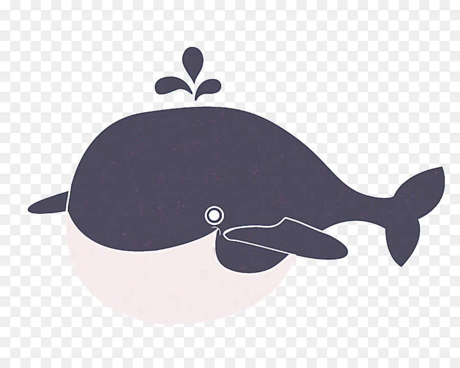 Mamíferos Marinhos，Baleia Assassina PNG