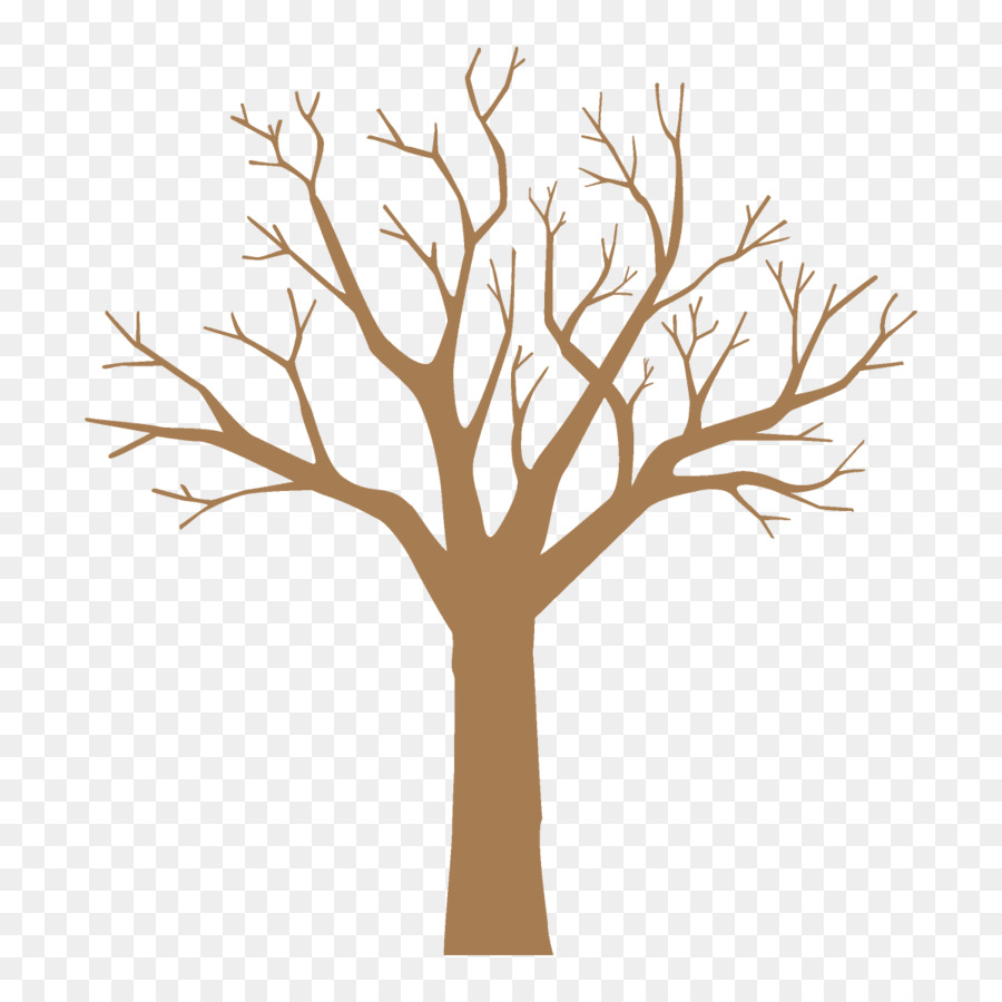 árvore，Filial PNG