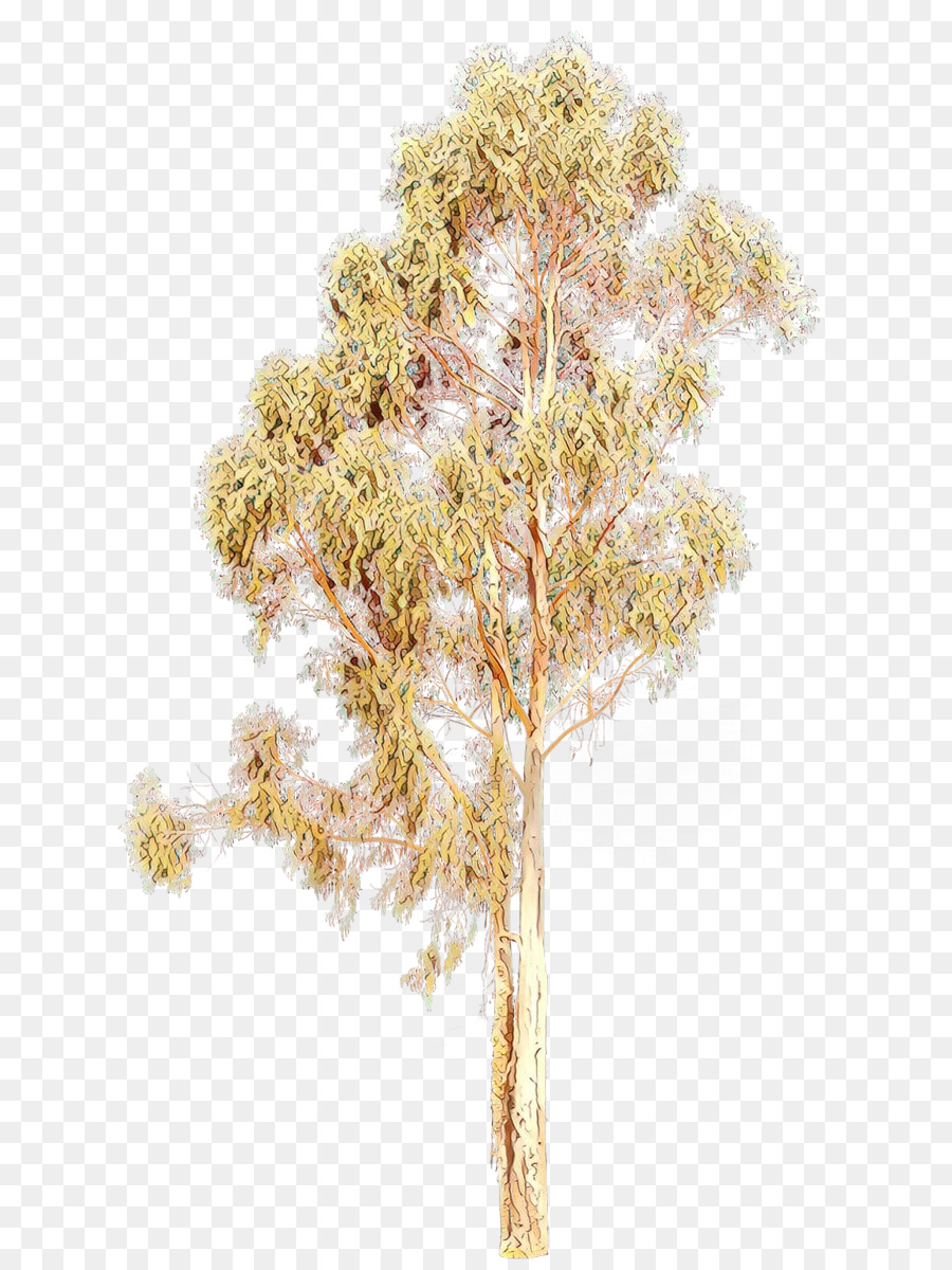 Planta，árvore PNG