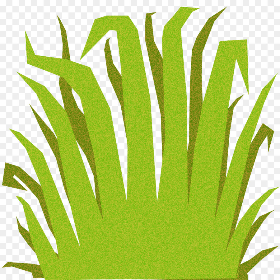 Verde，Grama PNG