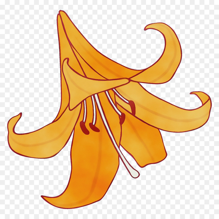 Amarelo Canadá Lily，Planta PNG