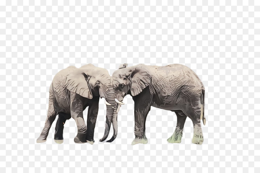 Elefante，Elefantes E Mamutes PNG