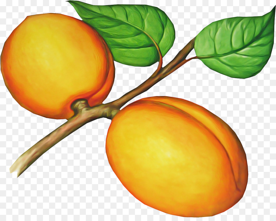 Fruta，Plum Européia PNG
