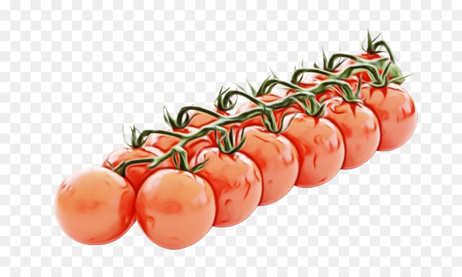 Tomates，Vegetal PNG