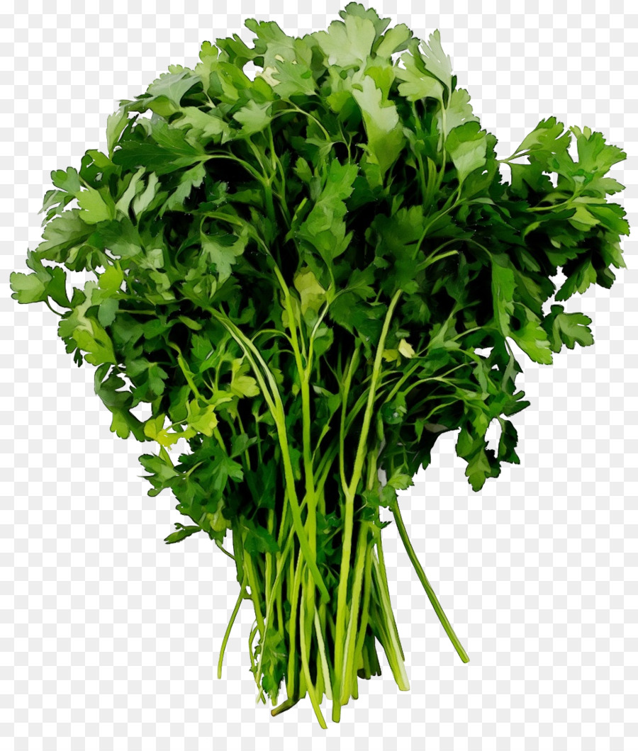 Plantar，Vegetais De Folhas PNG