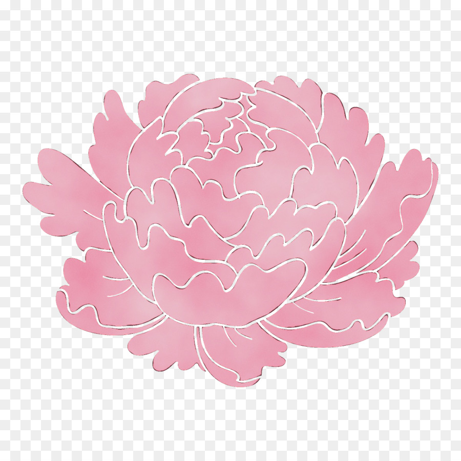 Flor Rosa，Florescer PNG