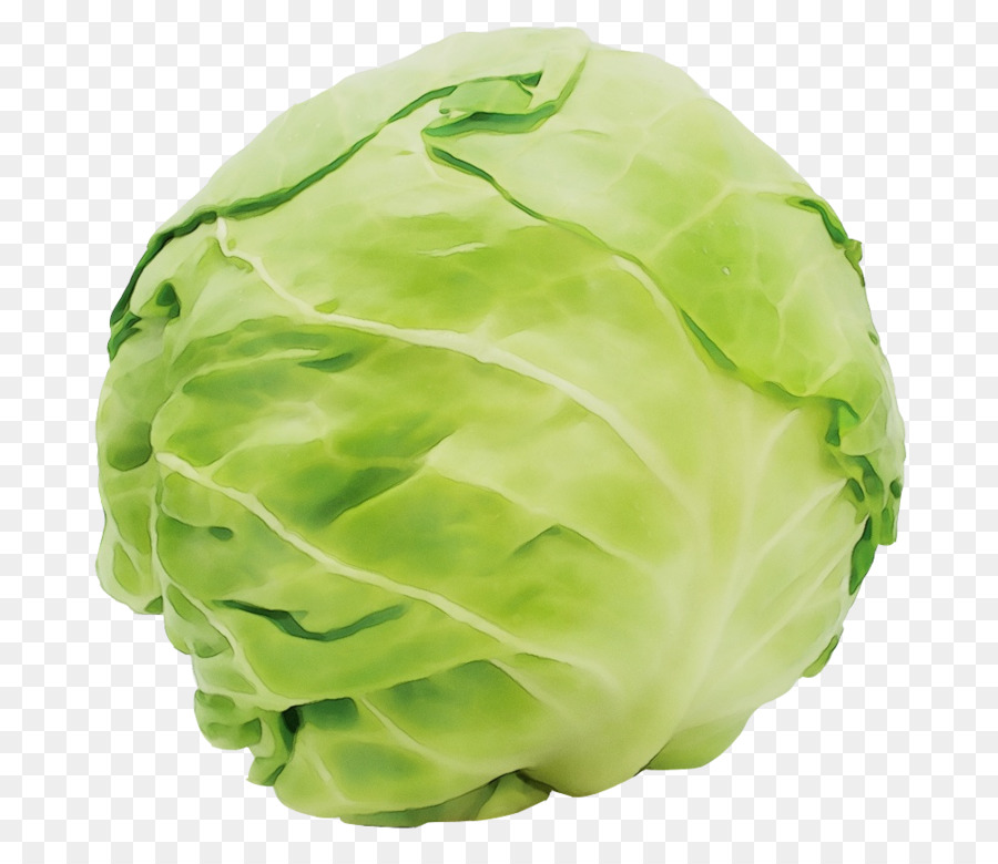 Couve De Bruxelas，Vegetal PNG