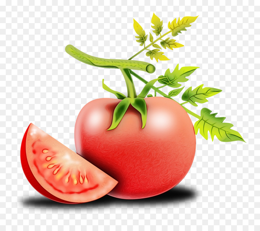 Tomate，Vermelho PNG