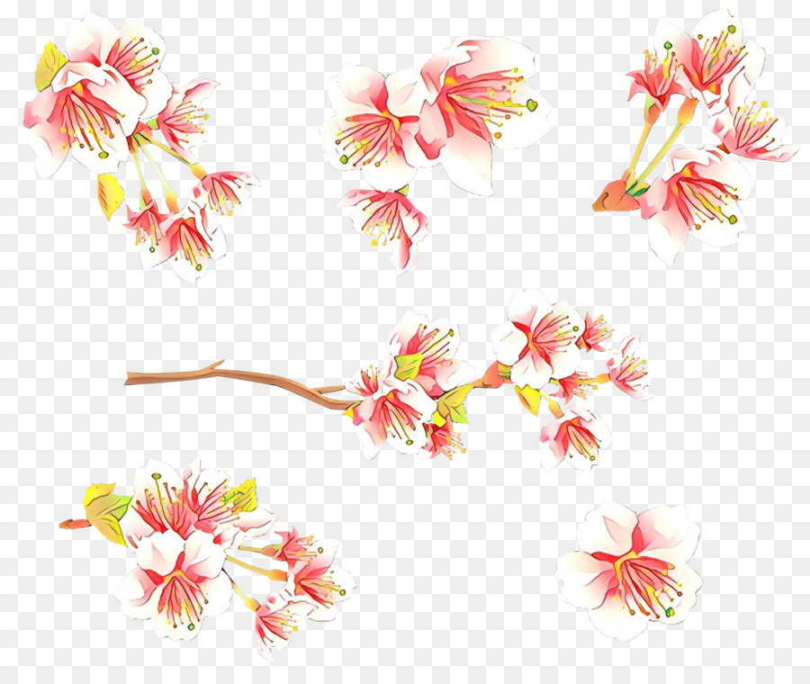 Flor，Florescer PNG