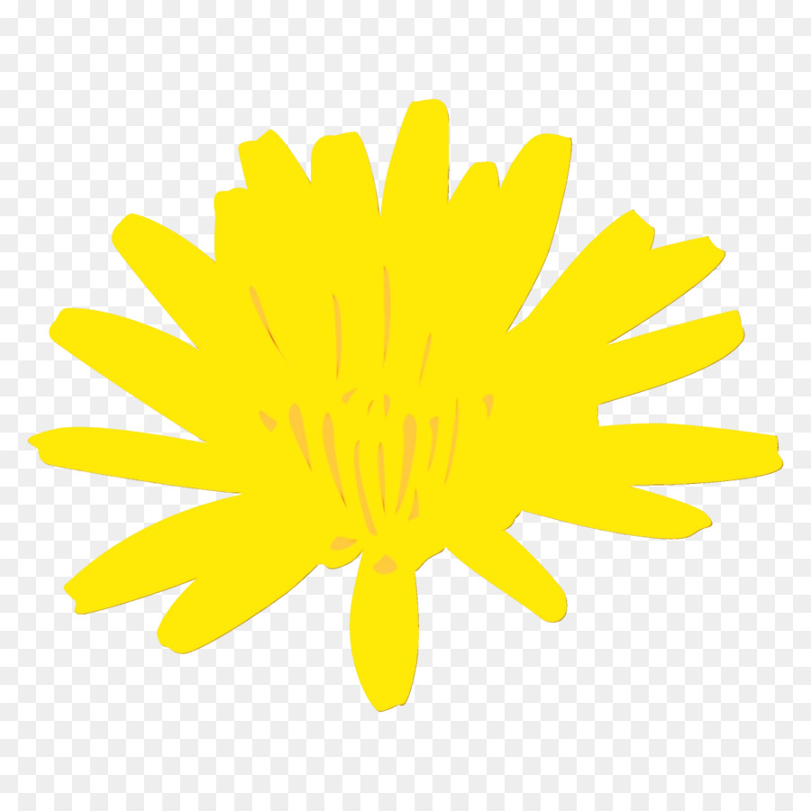 Amarelo，Flor PNG