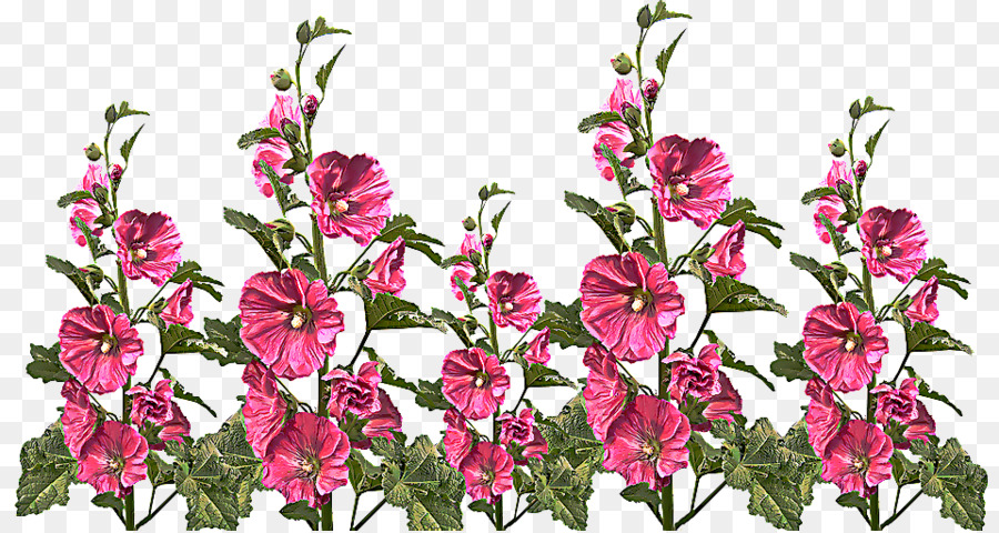 Flores Cor De Rosa，Plantas PNG