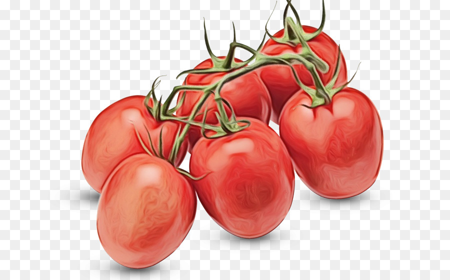 Tomates Vermelhos，Vegetal PNG