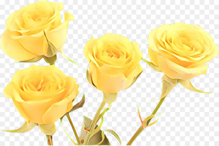 Rosas Amarelas，Rosas PNG