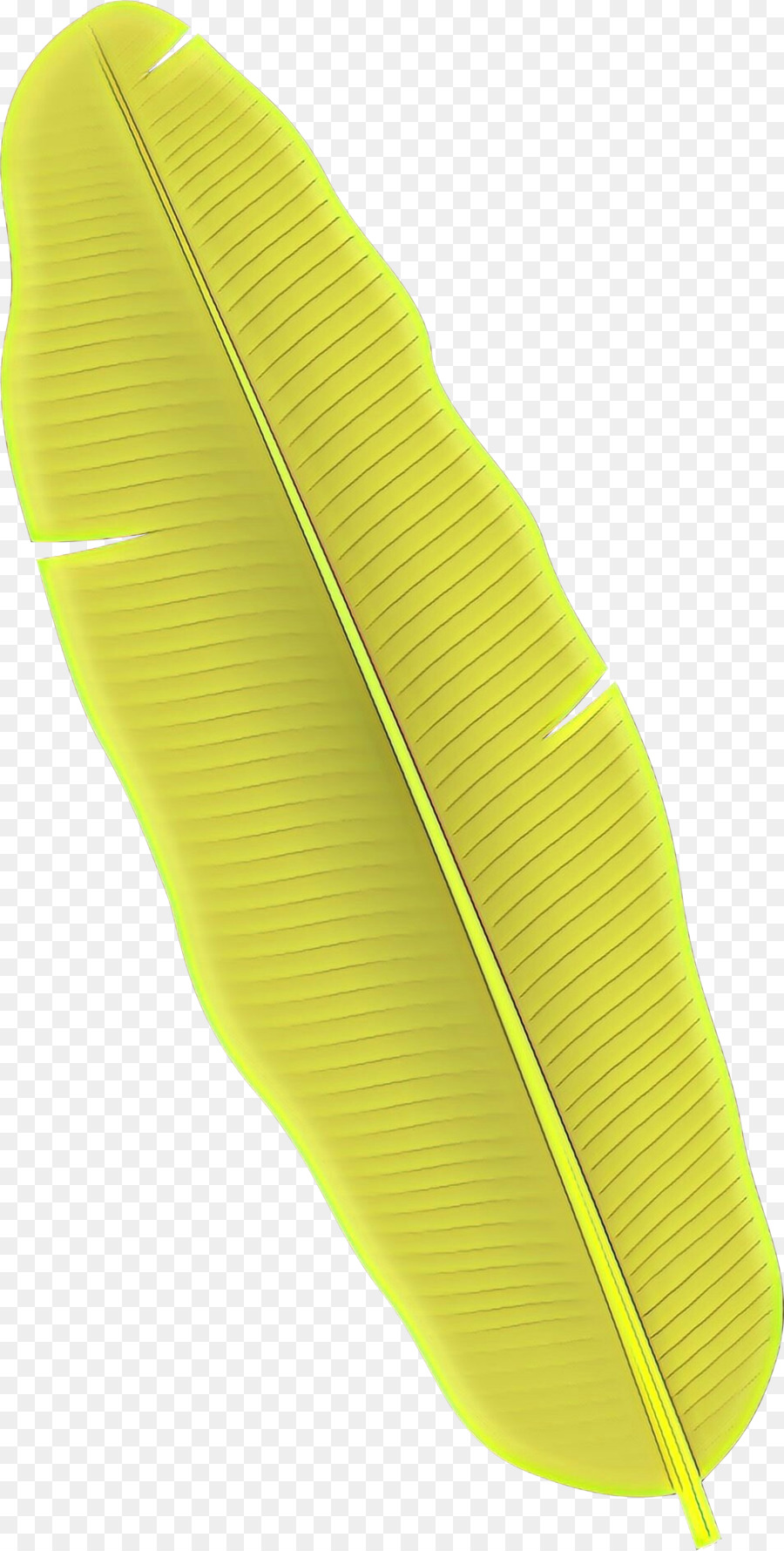 Amarelo，Verde PNG