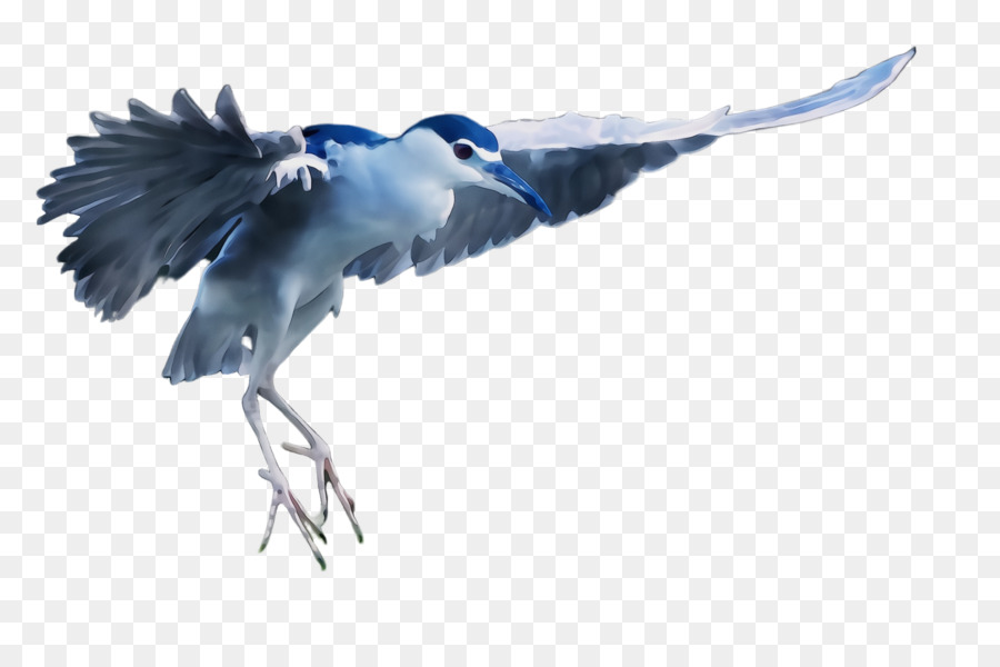 Pássaro，Grande Garça Azul PNG