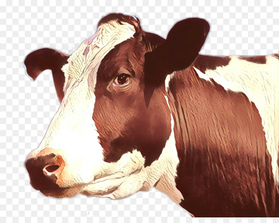 Bovinos，Vaca Leiteira PNG