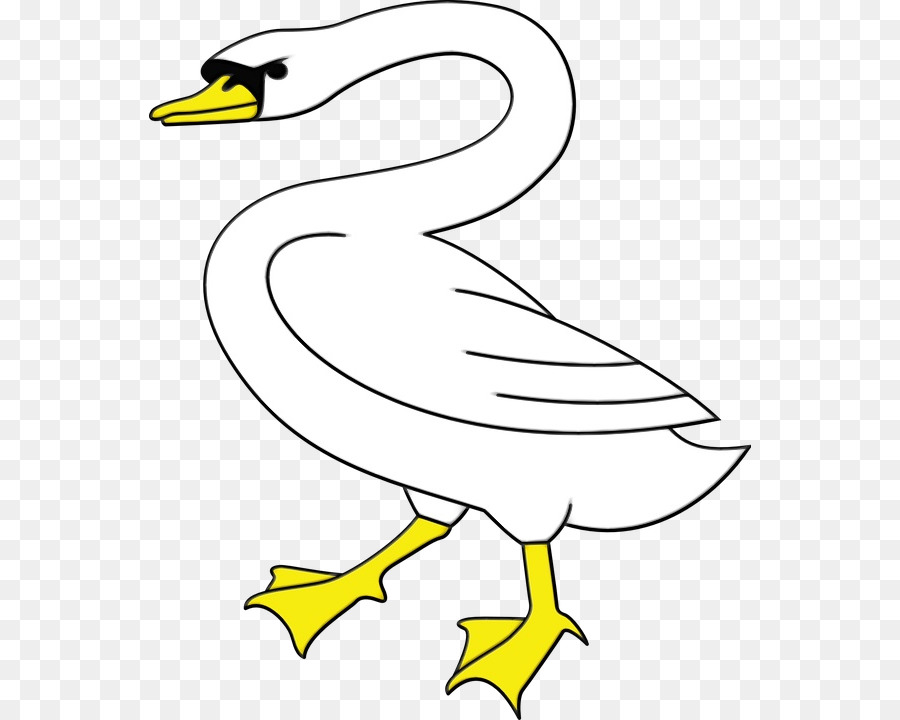 Aves，Branco PNG