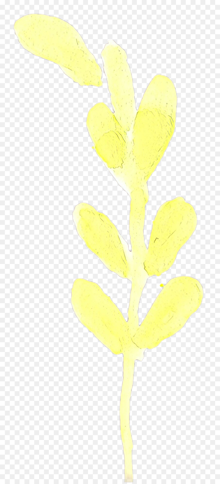 Amarelo，Flor PNG