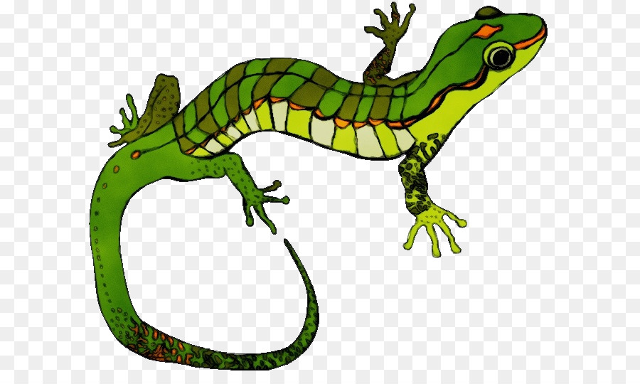 Répteis，Lagarto PNG