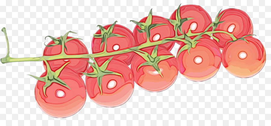 Tomate，Rosa PNG
