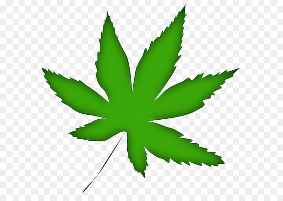 Folha De Cannabis，Maconha PNG