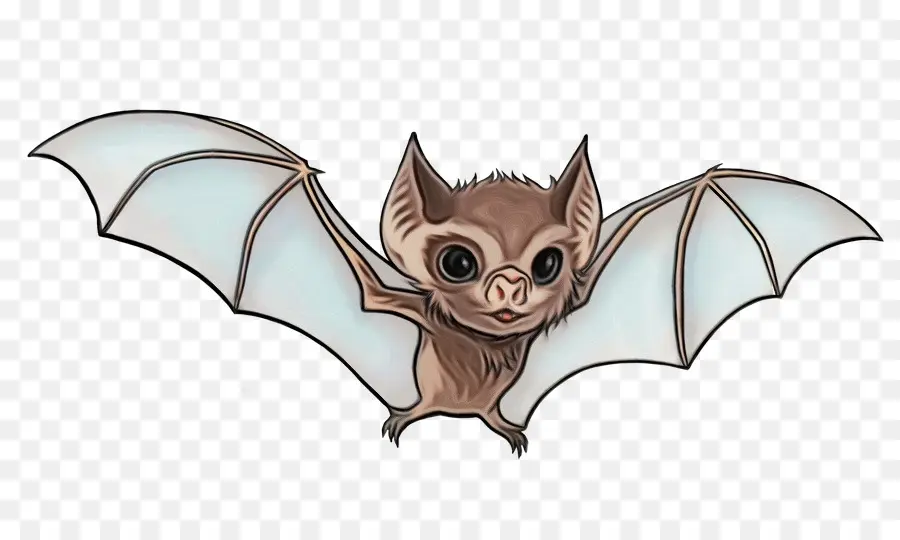 Bat，Morcego Vampiro PNG