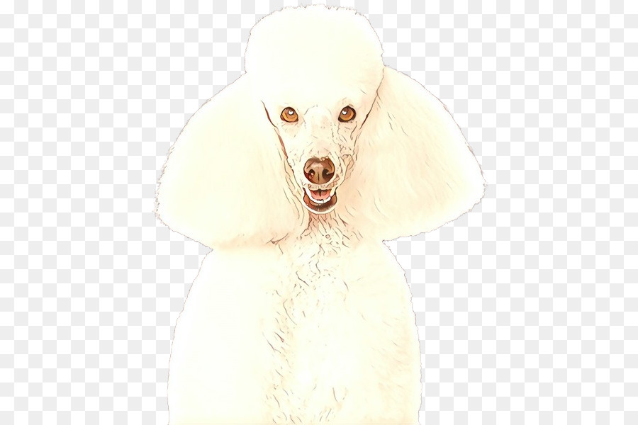 Cachorro，Branco PNG