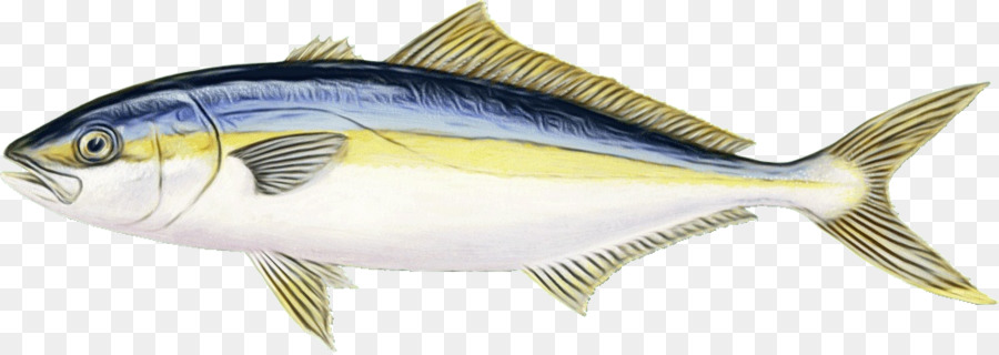 Peixe，Mar PNG