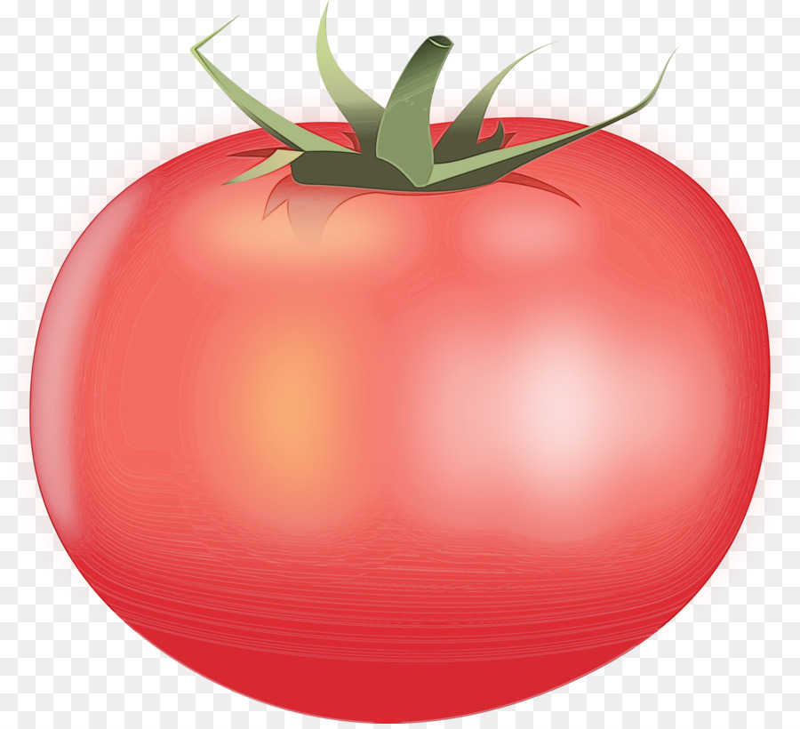 Tomate，Vegetal PNG