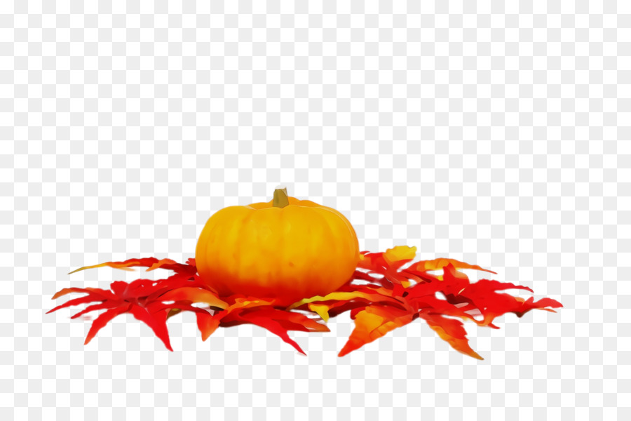 Laranja，Amarelo PNG