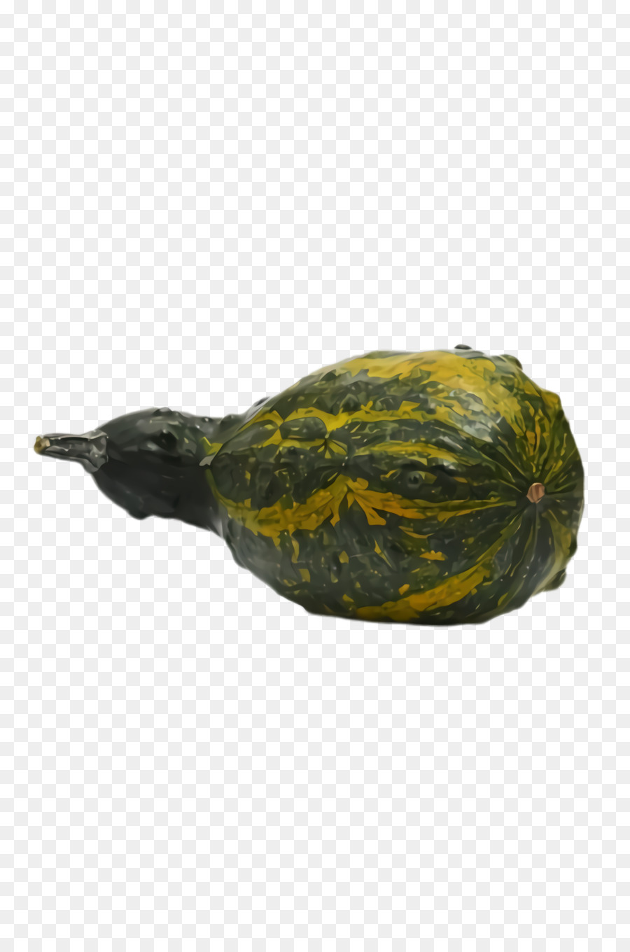 Amarelo，Planta PNG