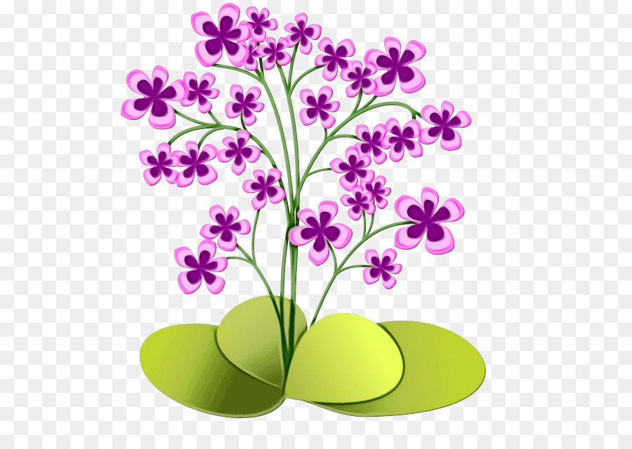 Flor，Planta PNG