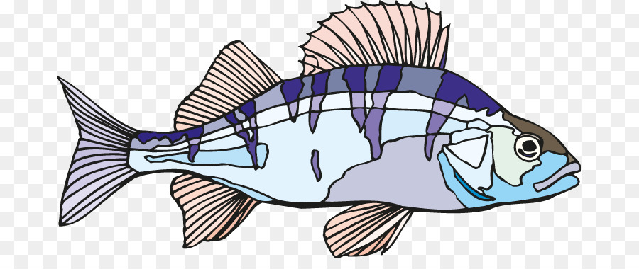 Peixe，Poleiro PNG