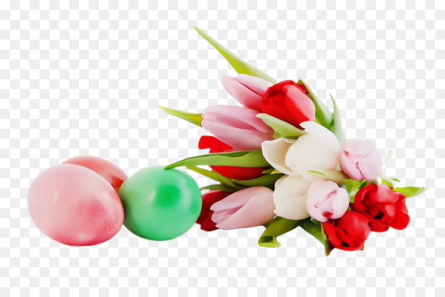 Flor，Tulipa PNG