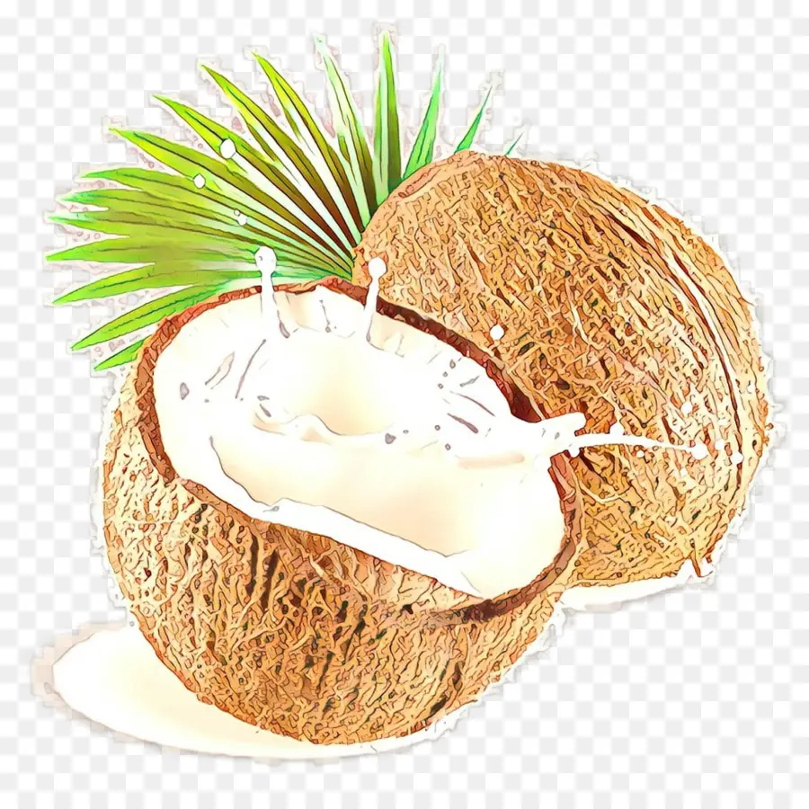 Coco，Água De Côco PNG