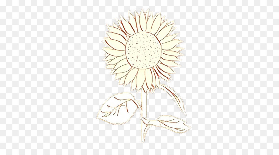 Gerbera，Flor PNG