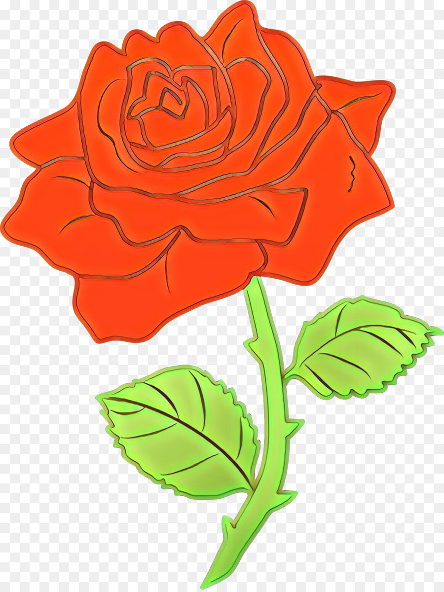 Rosa，Vermelho PNG