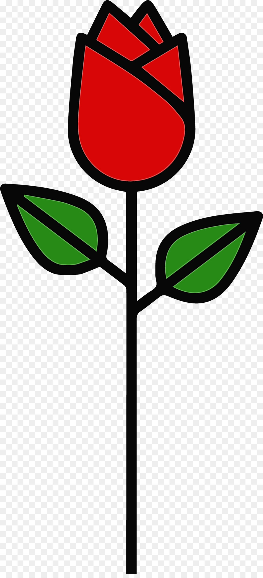 Rosa，Vermelho PNG