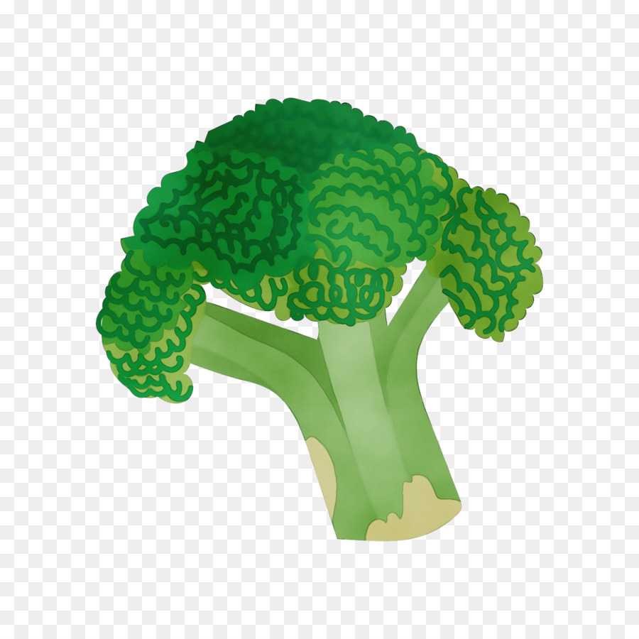 Verde，Brócolis PNG