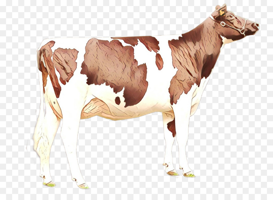 Animal Figura，Vaca Leiteira PNG