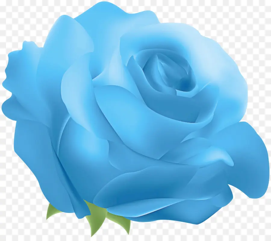 Rosa，Azul PNG