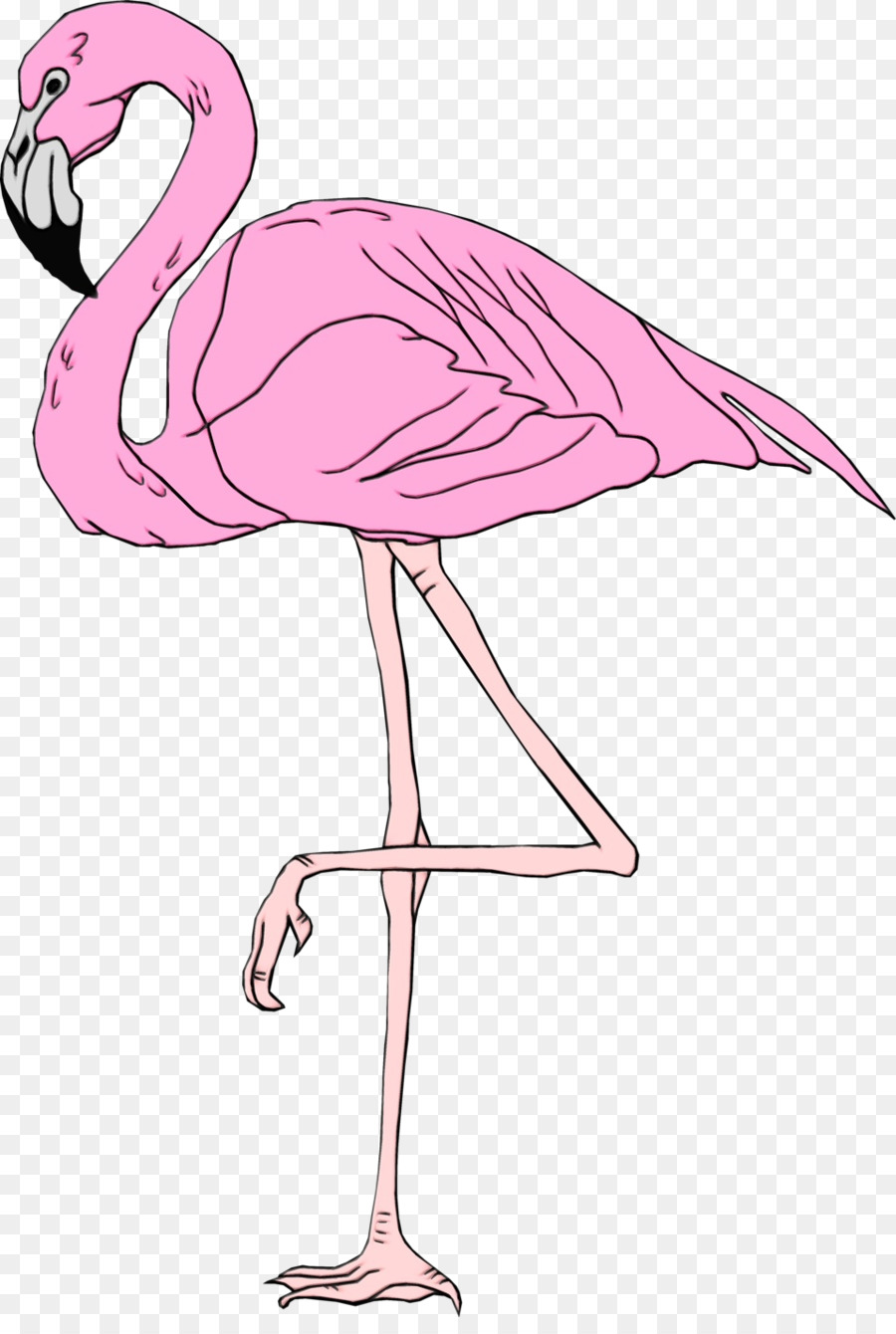 Pássaro，Flamingo PNG