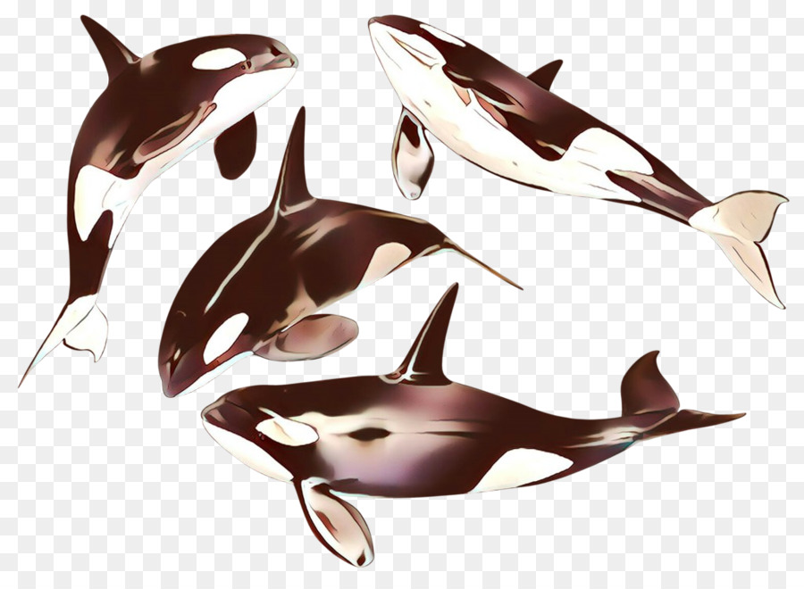 Dolphin，Mamíferos Marinhos PNG