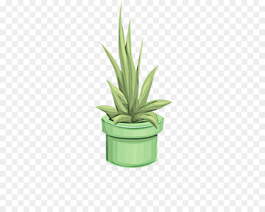 Flowerpot，Planta De Casa PNG