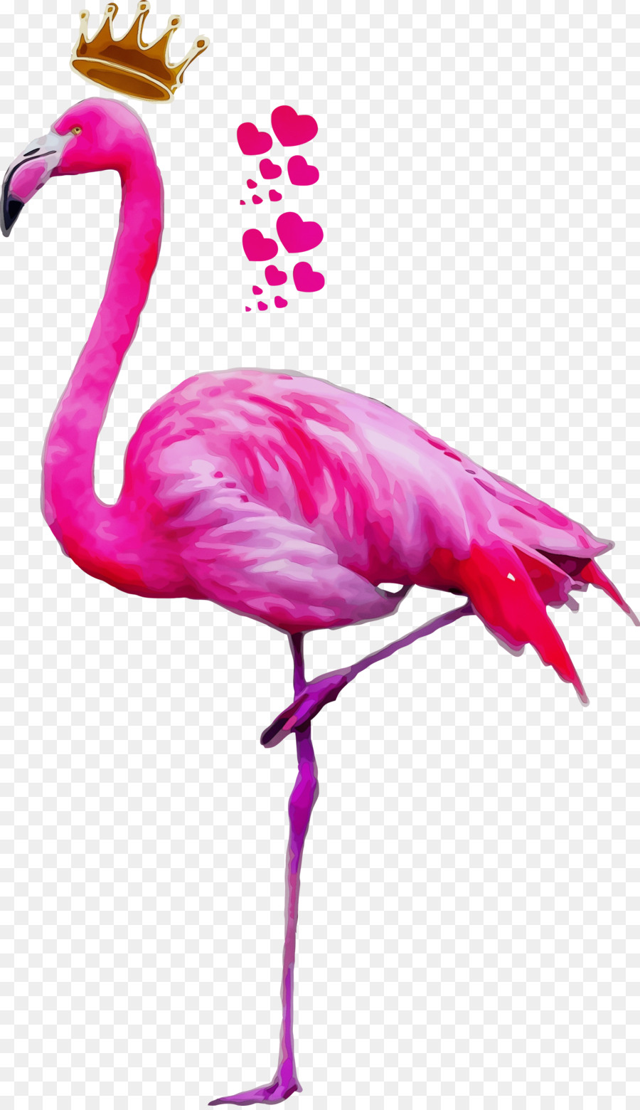 Flamingo，Pássaro PNG