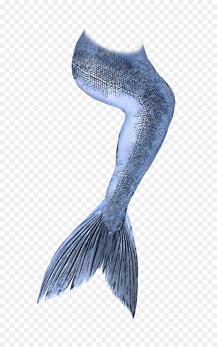 Peixe，Asa PNG